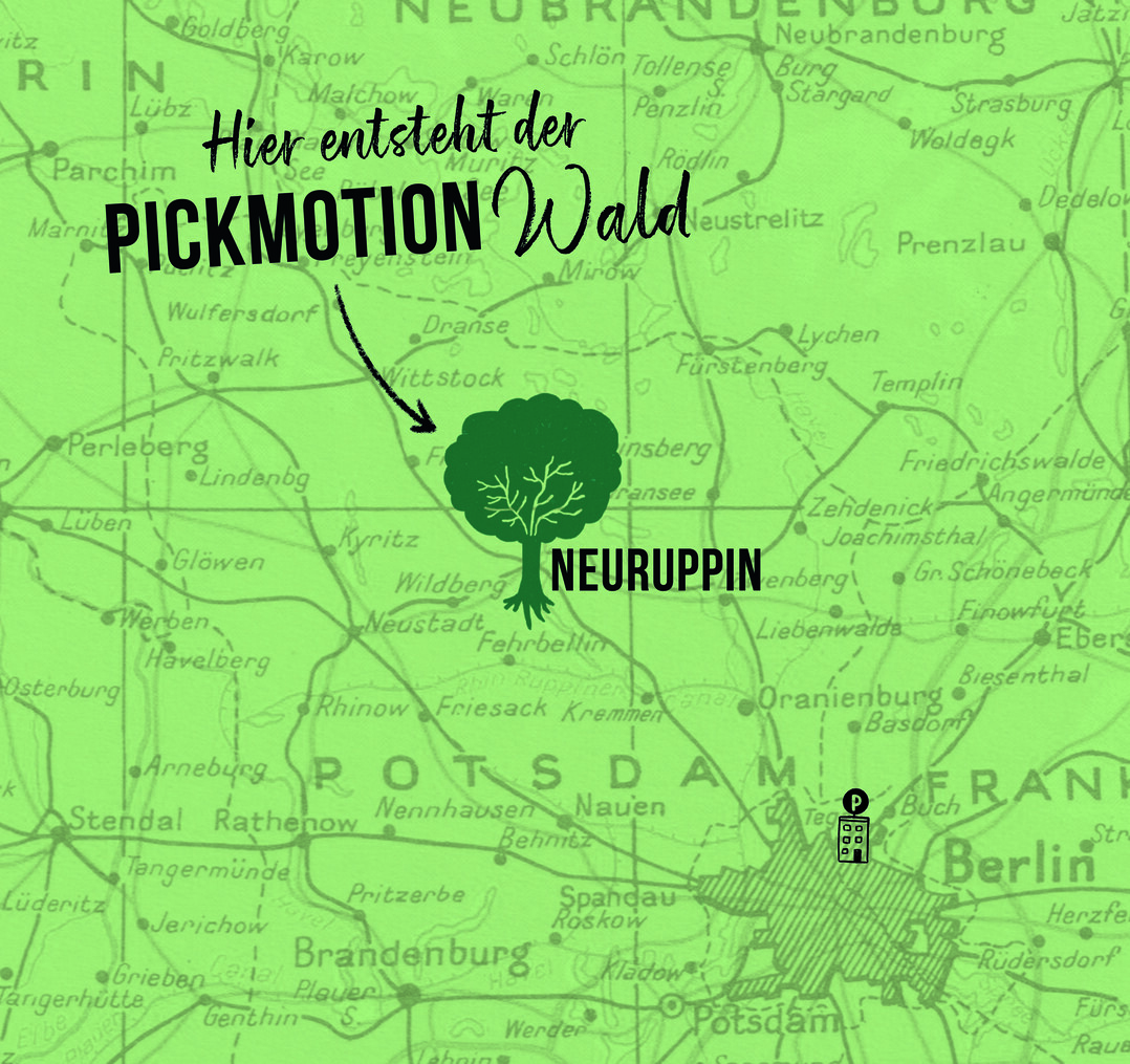 Gepflanzt wird auf einer Waldflche in Brandenburg bei Neuruppin. Der Klimawandel hat hier schon einiges angerichtet.