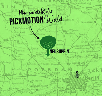 Gepflanzt wird auf einer Waldflche in Brandenburg bei Neuruppin. Der Klimawandel hat hier schon einiges angerichtet.