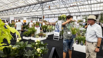 Plantarium/GROEN-Direkt, the Green Retail Fair, ist in Kombination mit der Frhjahrs- und Herbstmesse von GROEN-Direkt der Treffpunkt fr grne Fachkollegen und Lieferanten.