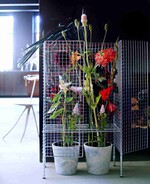 Groenbranche-Trend Punk rebooted