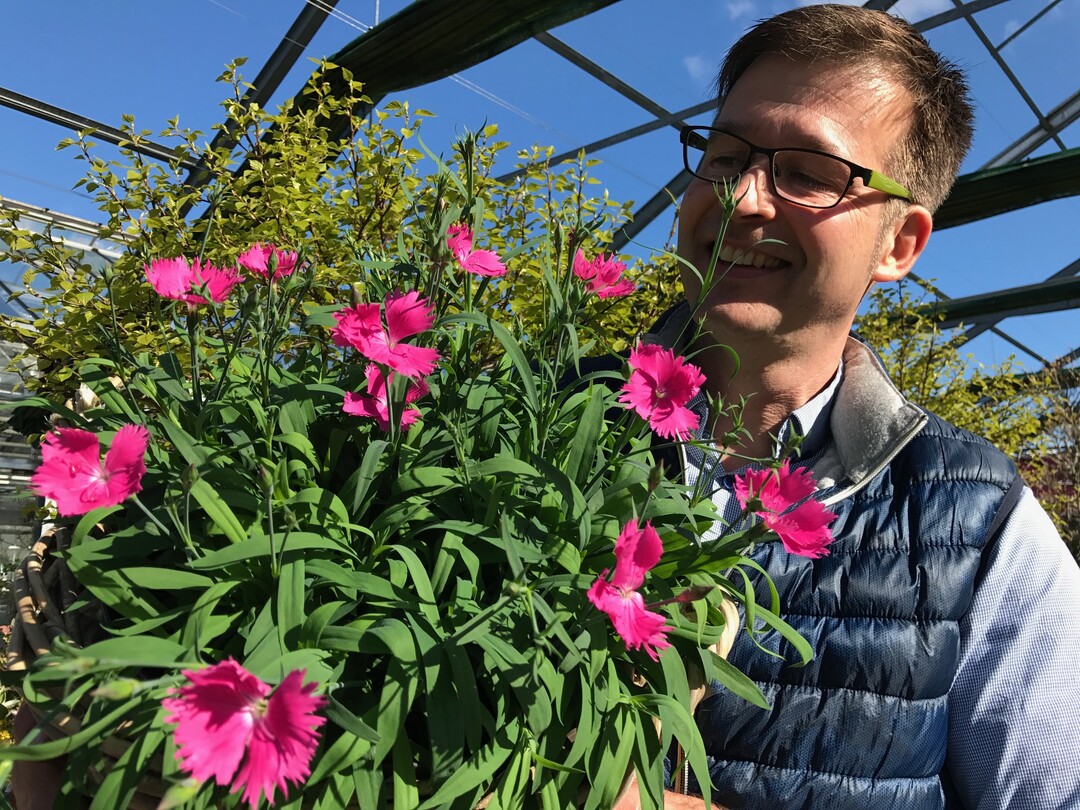 Olaf Beier, Vorsitzender des Bundesverbandes Einzelhandelsgärtner (BVE) im Zentralverband Gartenbau (ZVG) e.V. ist sichtlich begeistert von „Nellieke“ – der Pflanze des Jahres im Norden 2017.