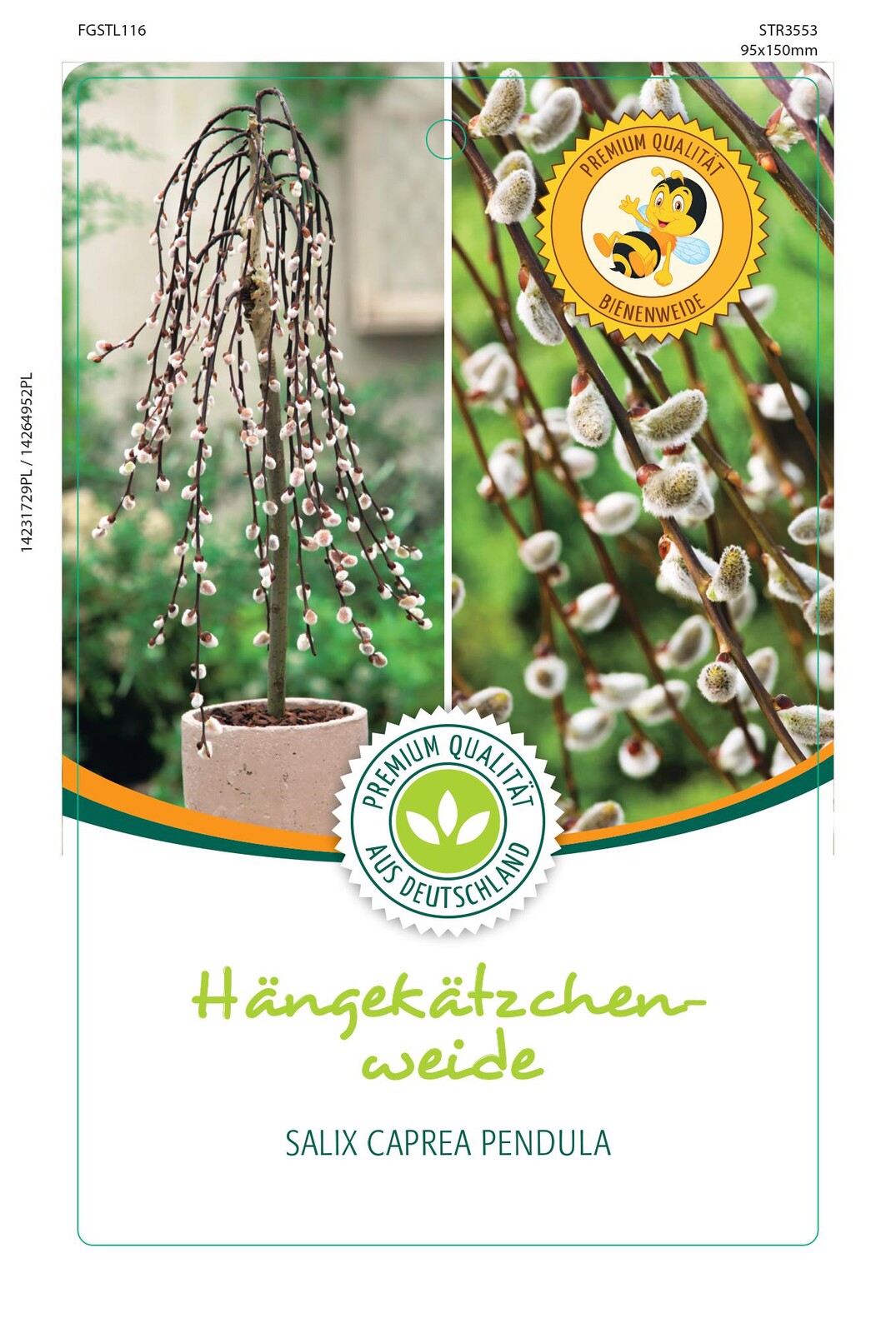 <i>Salix</i> als Bienennhrpflanze von Baumschule Stalling 