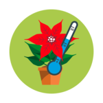 Nicht unter 12° Celsius