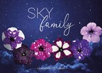 Unter dem neuen Konzept SKYfamily fasst Selecta one nun die gesamte Reihe seiner Petunien mit Sternenmuster zusammen und stellt damit zugleich neue spannende Sorten vor.
