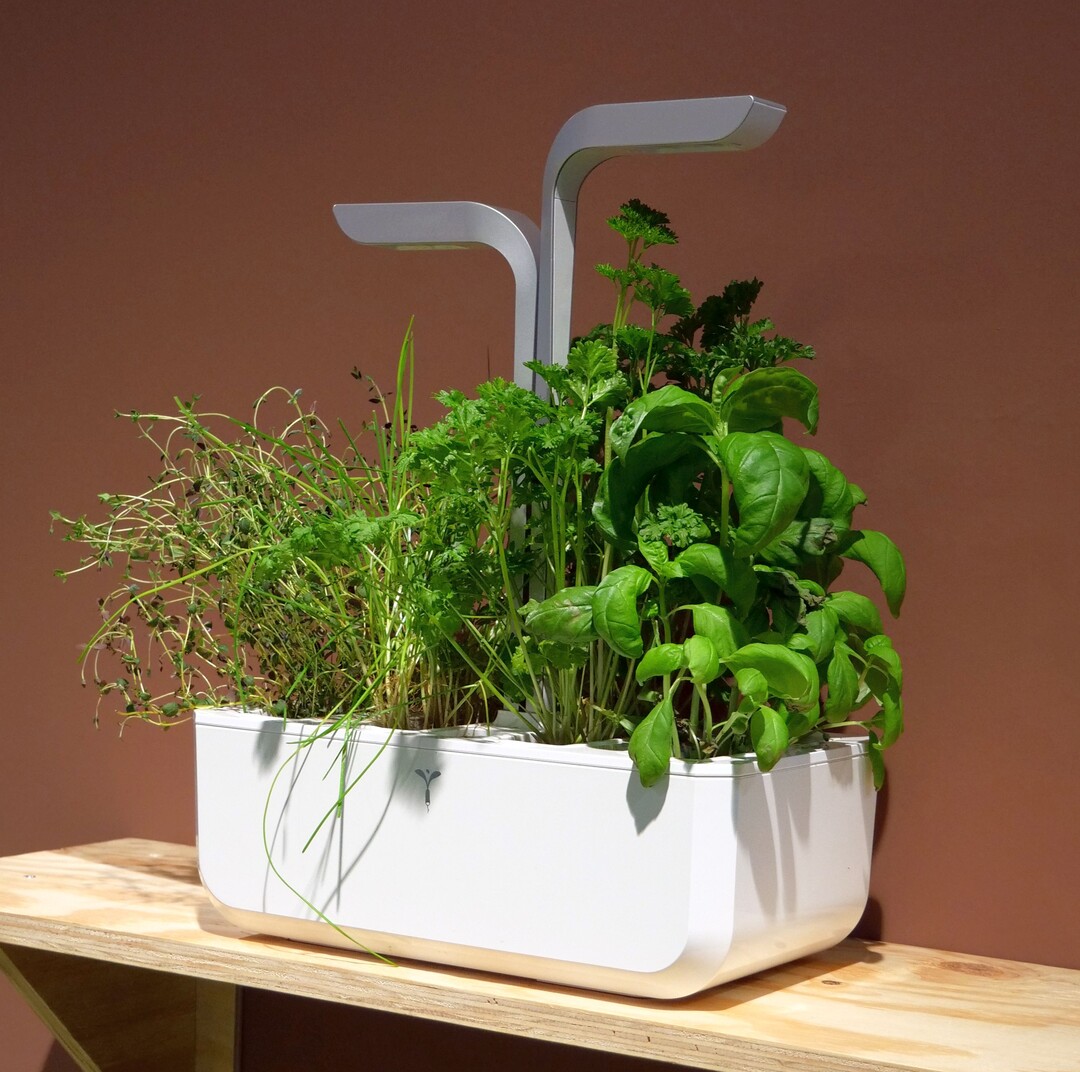 Vritable Smart Indoor Garden - fr den ganzjhrigen Anbau von Krutern und Minigemse ohne natrliches Licht.