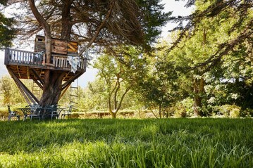Gut 75 Prozent der Gartenbesitzer mit Baumbestand haben drei oder mehr Bume in ihrem Garten stehen. Das ist eines der Ergebnisse des aktuellen STIHL Garten-Barometers. Immerhin jeder zwanzigste von ihnen gab sogar an, ein Baumhaus zu besitzen. 