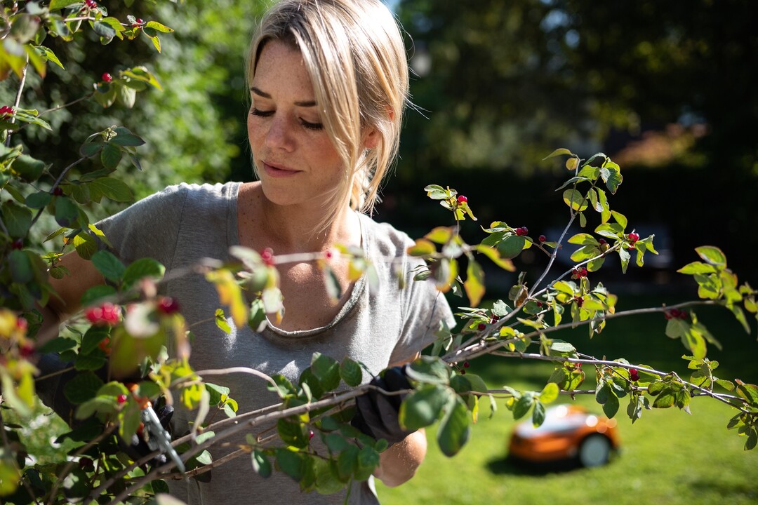 Fr gut drei Viertel der Gartenbesitzerinnen und Gartenbesitzer in Deutschland ist der eigene Garten ein Ort der Entspannung und Ruhe. Das ist eines der Ergebnisse der Umfrage zum aktuellen Stihl Garten-Barometer.