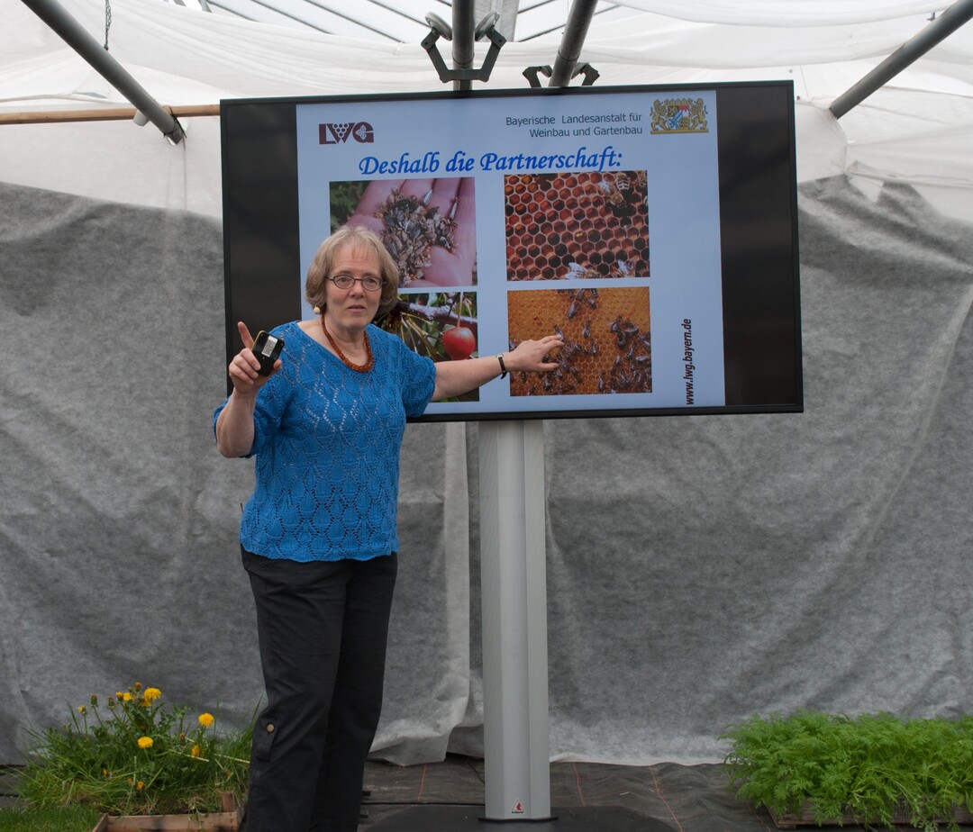 Bienen und Blten sind eine Partnerschaft eingegangen. Die einen kommen ohne die anderen nicht aus., so Bienenwissenschaftlerin Dr. Friedgard Schaper bei ihrem Vortrag.