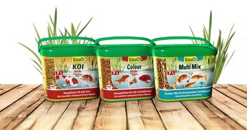 Tetra Pond Sticks - das passgenaue Futter fr Gartenteichfische 