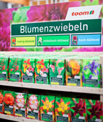 Beispiel Blumenzwiebeln: So präsentiert sich die Toom-Eigenmarke im Gartensortiment.