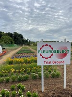 Versuchsfelder bei Mr. Fothergill"s Seeds