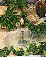 Kleine Teichvarianten für
Balkon und Terrasse sind
bei den Kunden gefragt