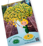 Die „Pflanzen des
Jahres“ in einzelnen
bundesländern kamen gut an,
weil sie als etwas besonderes
herausgestellt wurden.