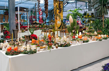 Weihnachtsprsentation bei Kottal in Mosbach-Neckarelz