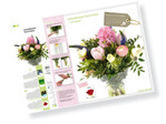 Neues Poster „Schnittblumen frisch halten“
