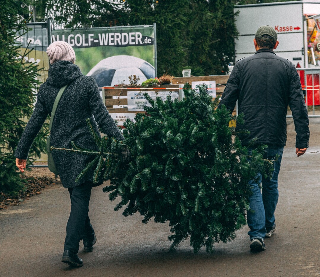 Auch 2023 stehen genügend formschön gewachsene Christbäume sowie dekoratives Schmuckgrün zur Verfügung melden die Erzeugerverbände.